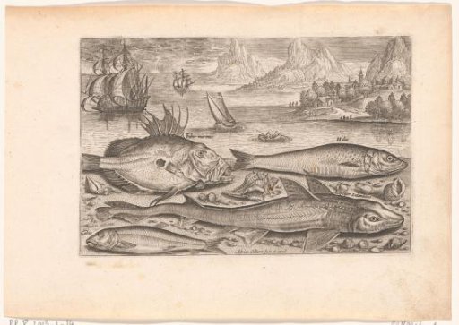 Four fish on the beach