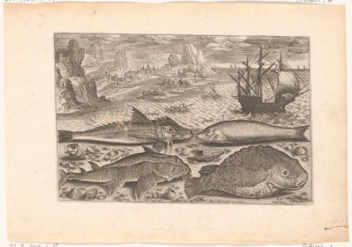 Four fish on the beach