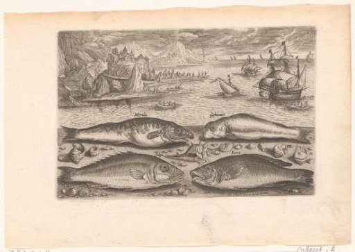 Four fish on the beach