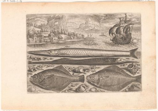 Four fish on the beach