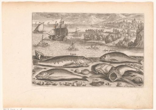 Five fish on the beach