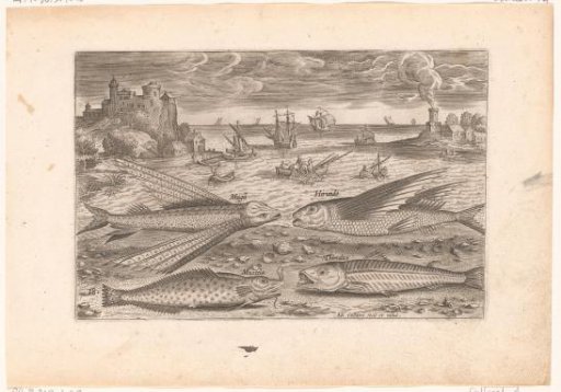 Four fish on the beach