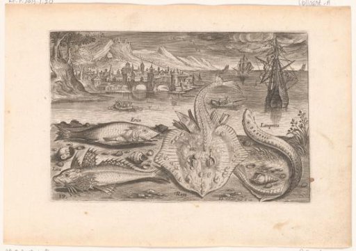 Four fish on the beach