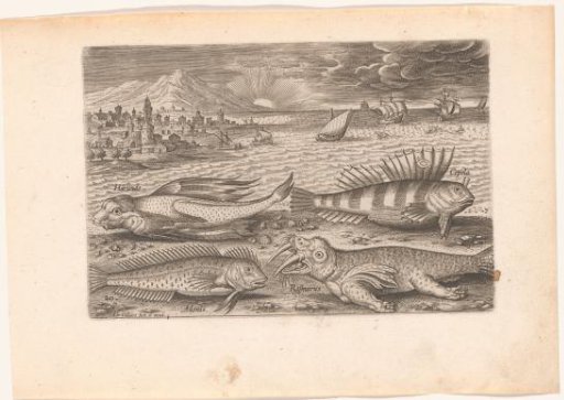 Several fish and a walrus on the beach