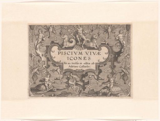 Title print with sea creatures as ornaments