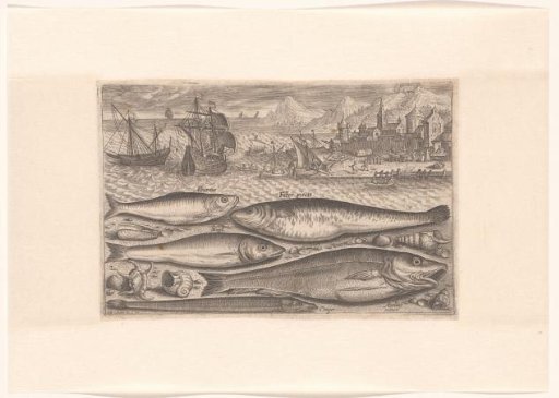 Five fish on the beach