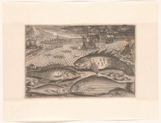 Four fish on the beach