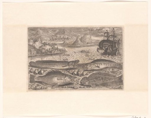 Four fish on the beach