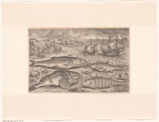 Four fish on the beach