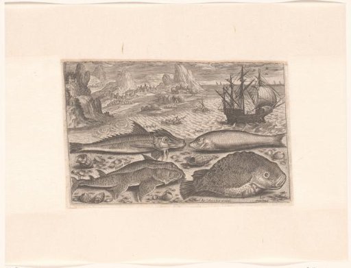 Four fish on the beach