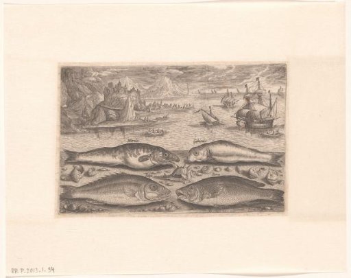 Four fish on the beach