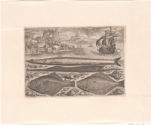 Four fish on the beach