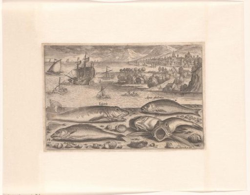 Five fish on the beach