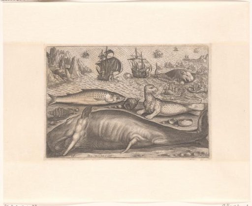A rower, a sea lion and a whale on the beach