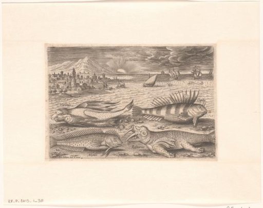 Several fish and a walrus on the beach
