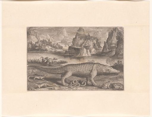 Several reptiles and amphibians on a shore