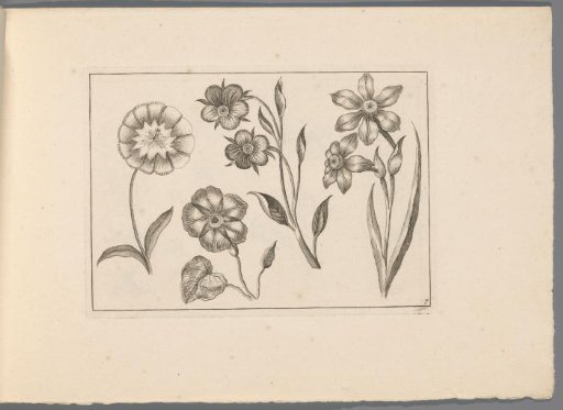 Various flowers