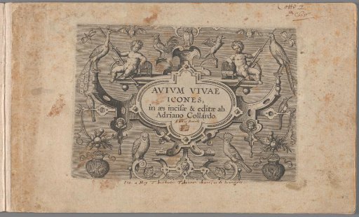 Series title in a cartouche surrounded by birds