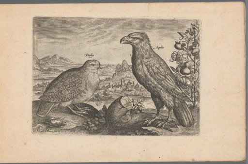 Two birds in a landscape