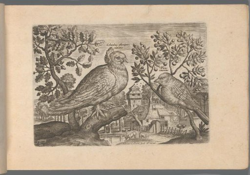 Two birds in a landscape