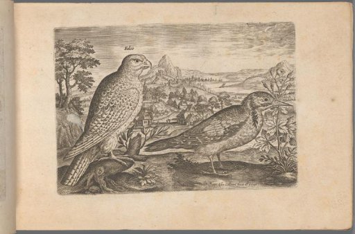 Two birds in a landscape