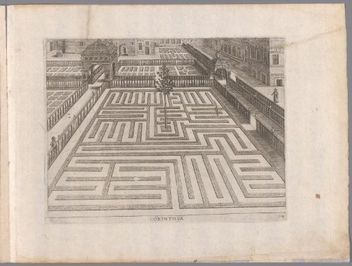 Garden with a rectangular parterre and a tree