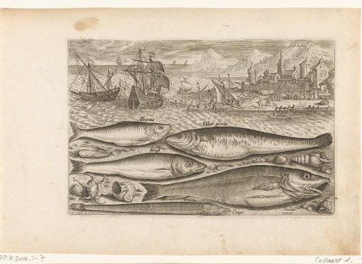 Five fish on the beach