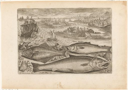 Three fish on the beach