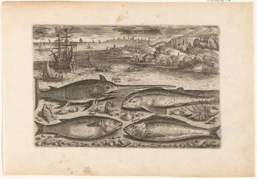 Four fish on the beach