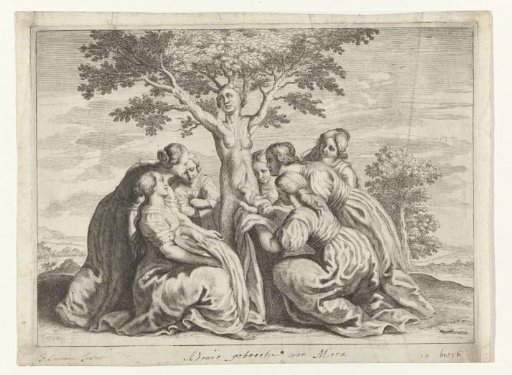 The Birth of Adonis