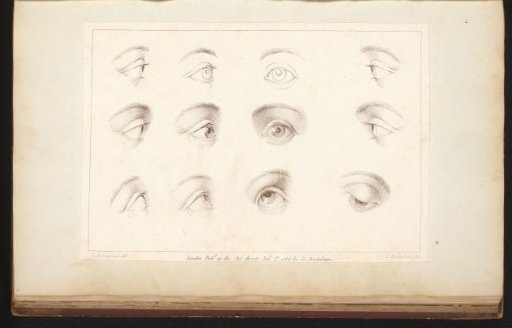 Twelve eyes