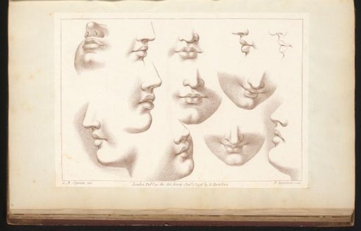 Twelve noses and mouths