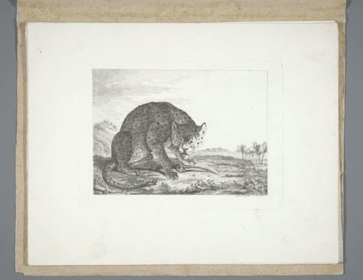 Seated feline (leopard?) with a bone
