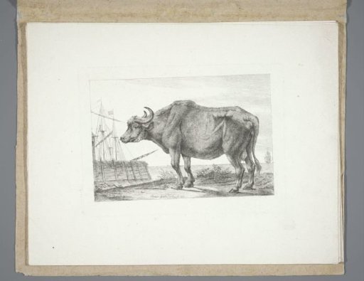 Standing cow with a ship in the background