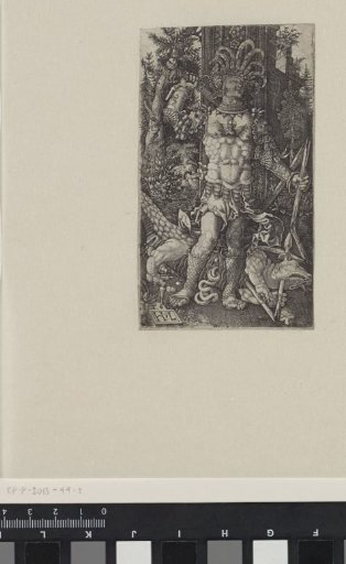 Saint George and the Dragon