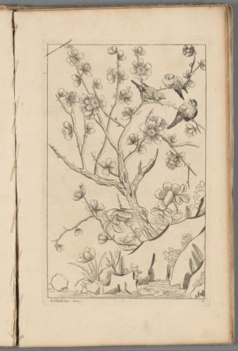 Three birds in a blossoming tree
