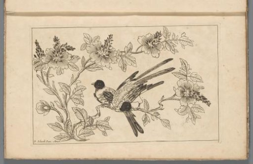 Two birds on a blossoming branch