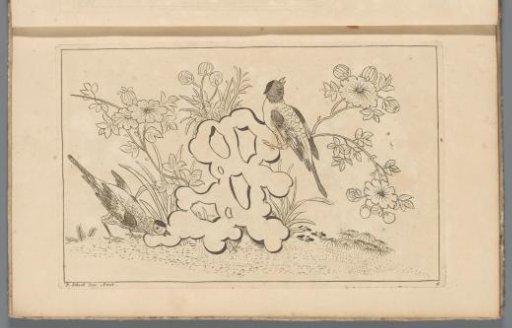 Two birds by a flowering bush
