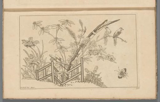 Three birds in a flowering tree