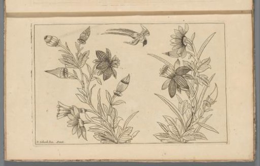 Two flower bushes and a swallow