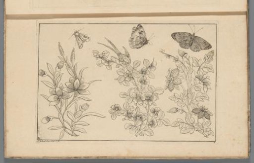 Three flower branches and three butterflies