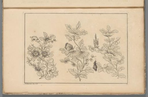 Three flower branches with two butterflies and a bird