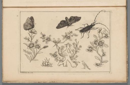 Three flower branches with birds, butterflies, and an insect