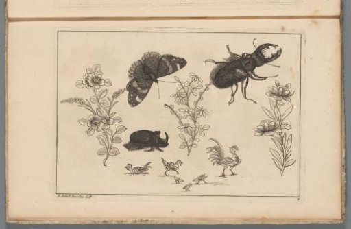 Three flower branches with a rhinoceros beetle, butterfly, and beetle