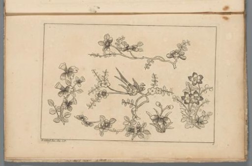 Flower branches with two birds