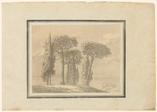 Italian pine and cypress