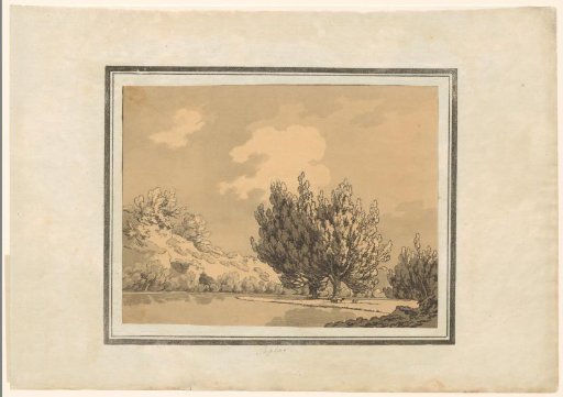 Poplar