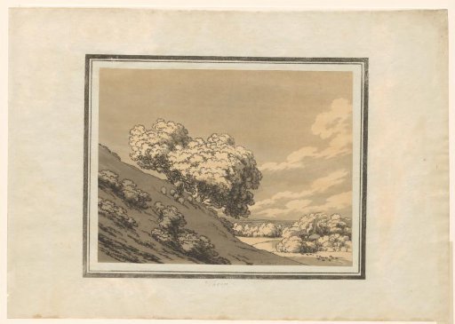 Hawthorn