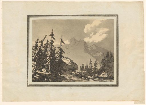 Fir