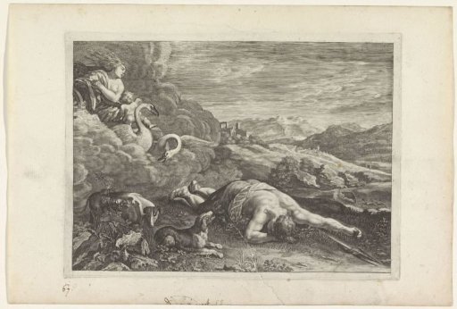 Death of Adonis